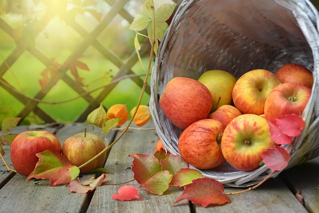Kontrola Wilgotności w Chłodni: Klucz do Długotrwałego Przechowywania Jabłek