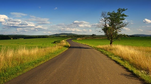 Zaprawy nasienne: klucz do zdrowych plonów